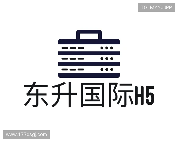 发展东升国际h5